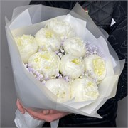 Букет из Голландских пионов 9 шт с гипсофилой 10119