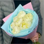 Букет из Голландских белых пионов  7 шт 10120