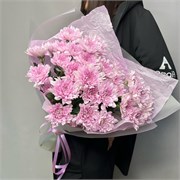 Букет из розовой кустовой хризантемы 5 шт 10183