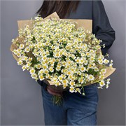 Букет из Танацетума (кустовая ромашка) 25 шт в крафте 10186