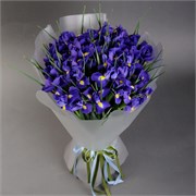 Букет из ирисов 25 шт 10212