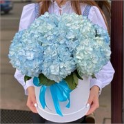 Коробка из голубых гортензий 15 шт 10218